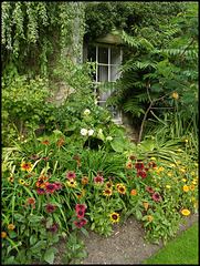 autumn border