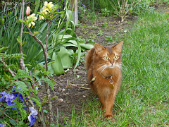 Caithlin exploring the garden