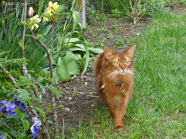 Caithlin exploring the garden