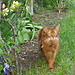 Caithlin exploring the garden