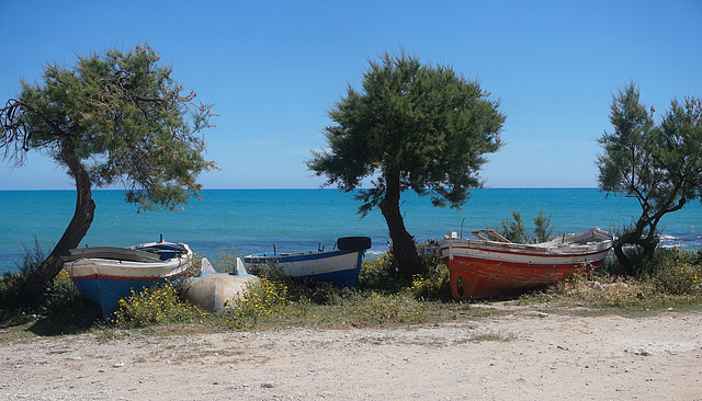 Sampieri