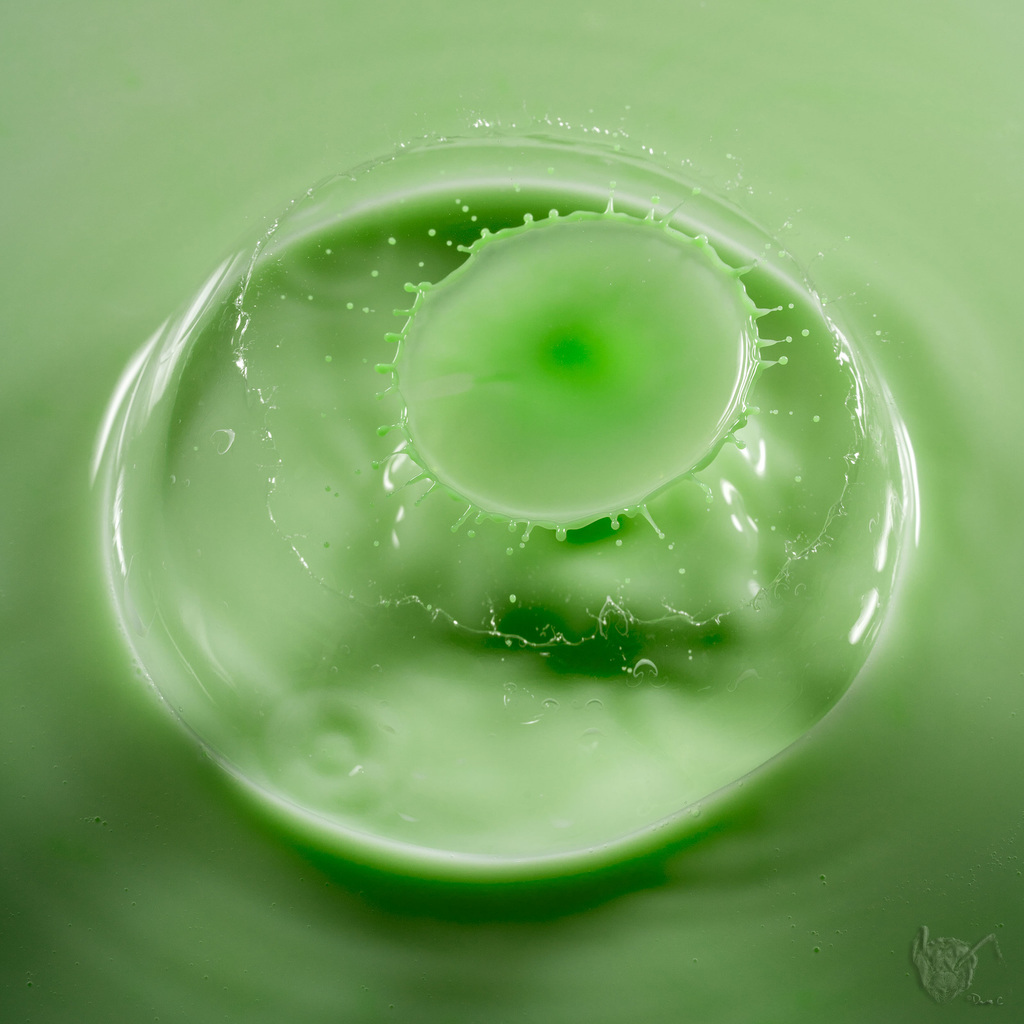 Splash
