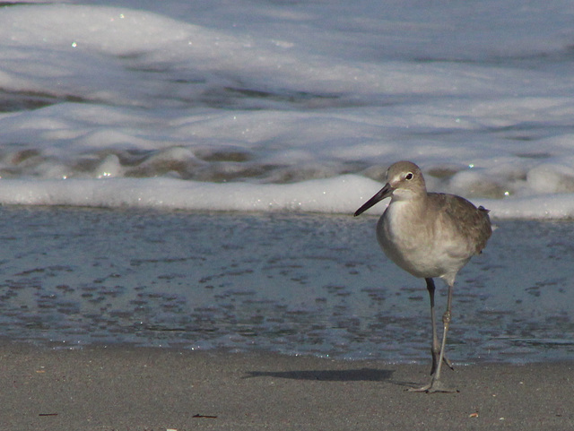 Walking In The Sand