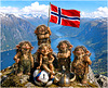 My heart beats for Norway ♥️
