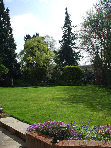 Fulbourn garden 2014-04-09