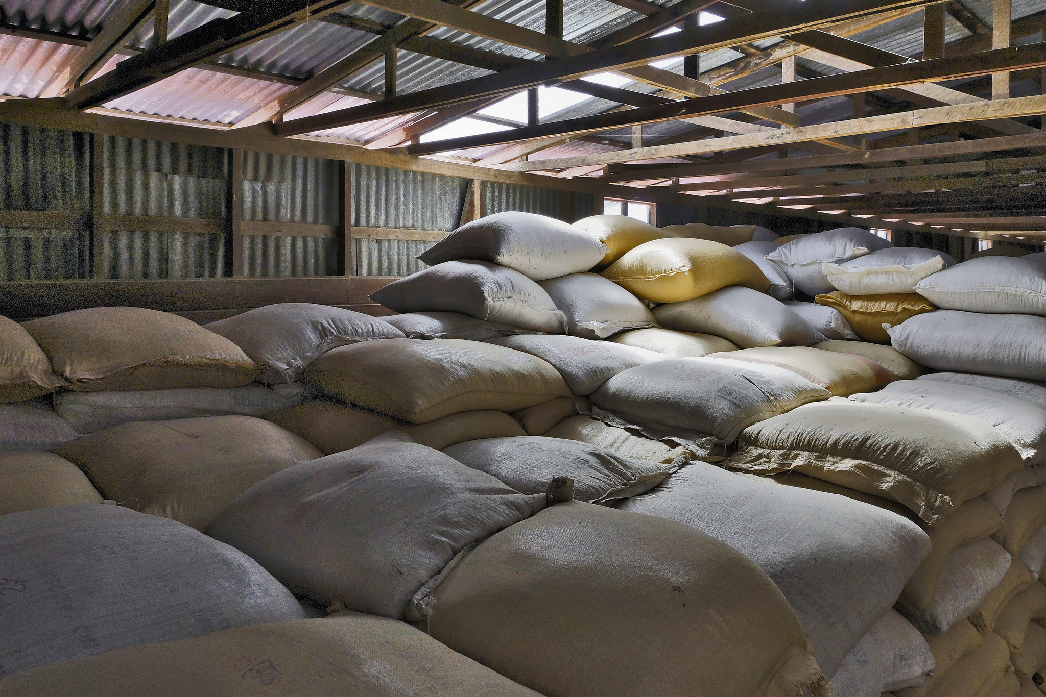 Bags Under Your Eyes – Doka Estate, San Luis de Sabanilla, Alajuela Province, Costa Rica