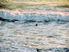 Late afternoon surfers, Alvor (2011)