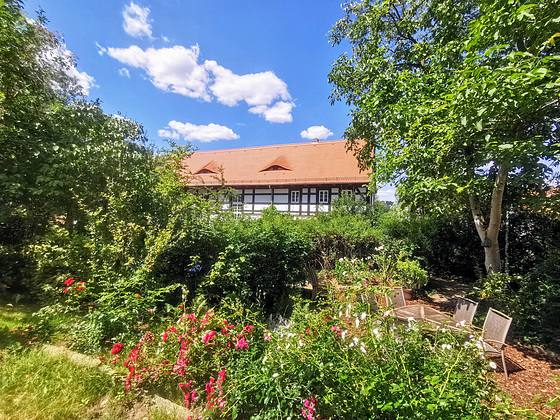 Sommergarten in der Heimat