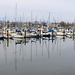 Bellingham Harbor