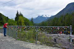 Der Zaun im Nirgendwo  -  eine Strasse durch den Nationalpark auf Vancouver Island