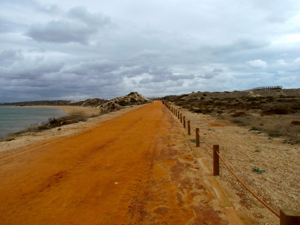 Trackway alongside the Estuary of the Ria de Alvor (2011)