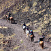 Mount Etna- Silvester Craters- Horseriders