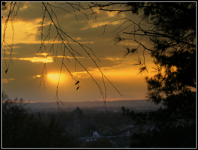 Last Leaves