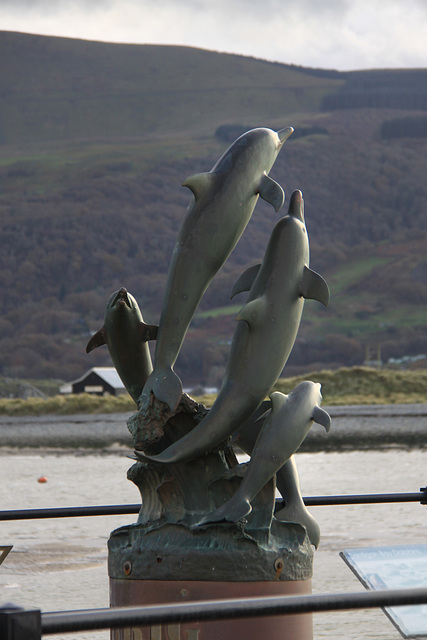 Barmouth dolphins