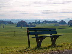 Bank ohne Ausblick