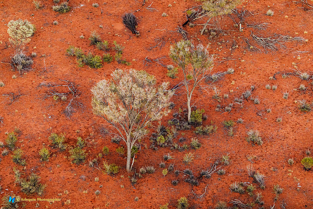 Outback Ballooning #2