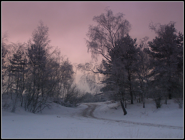 Alone in Moor-2009