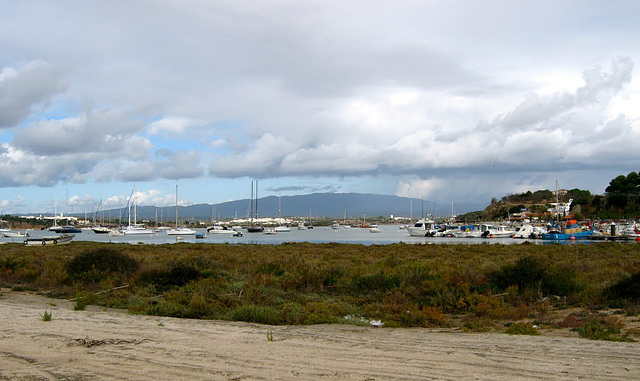 Estuary at Alvor (2011)