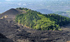 Mount Etna- Silvester Craters- Regeneration