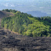 Mount Etna- Silvester Craters- Regeneration