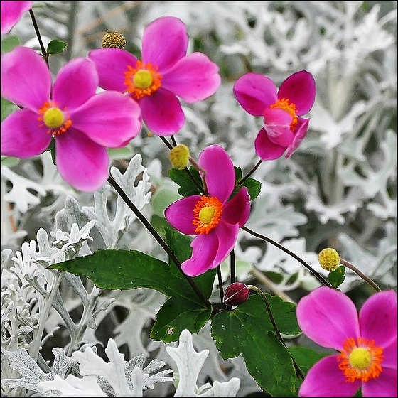 このほどを  花に礼いふ  別れ哉