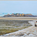 Vue depuis le GR 34 à Saint Jacut de la Mer  (22) vers les bouchots et le mytiliculteur avec son tracteur