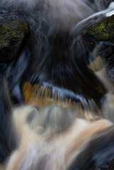 Who said it's a quiet stream ?