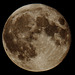 IMG 3769 Supermoon dpp