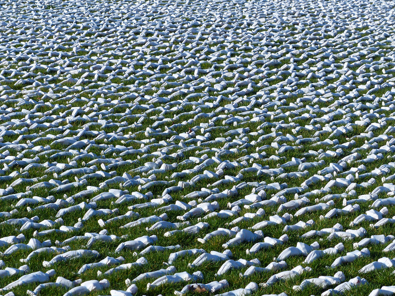 Shrouds of the Somme (6) - 18 November 2018