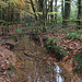 Dinas Powys Woods