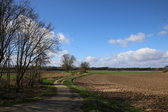 Feldweg