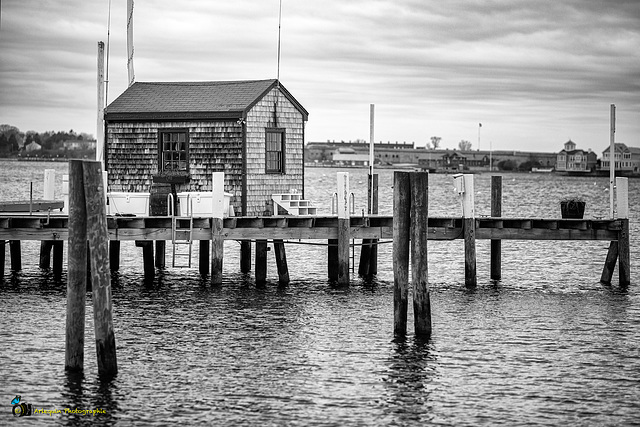 By the pier