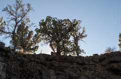 Lava Beds Natl Mon , CA (0902)