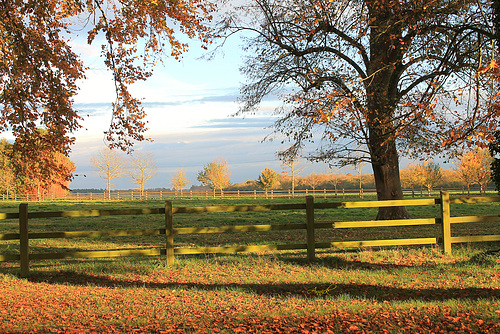 Douceur d'automne