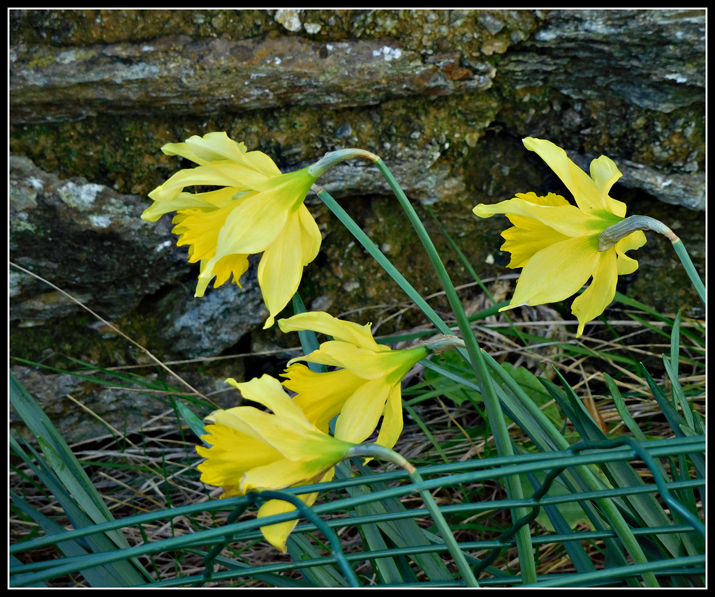 belle fin de semaine