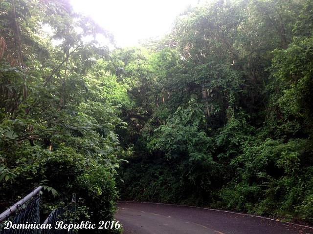 33 Shuttle Driveway to Small Bay Accommodation