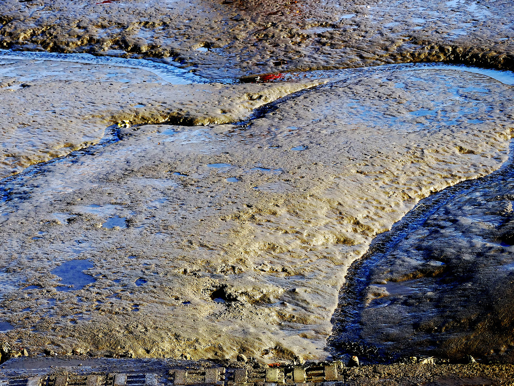 Mud In The Gut