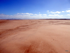 Findhorn Beach at low tide