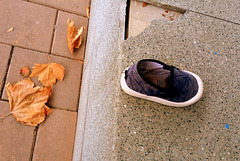 #25 lost shoe