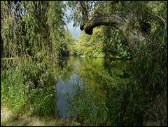 hidden lake