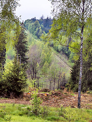 Auf dem Grünen Band-108