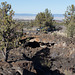 Lava Beds Natl Mon , CA (0906)