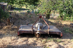 IMG 0553