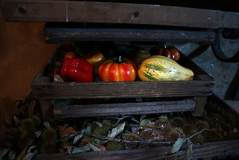 Légumes de saison