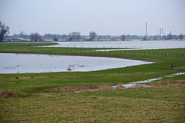 Stijgend water Munnikenland 4 januari