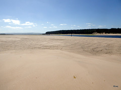 Findhorn Beach at low tide