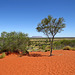 Mount Conner Lookout