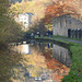 An autumn walk on the canal