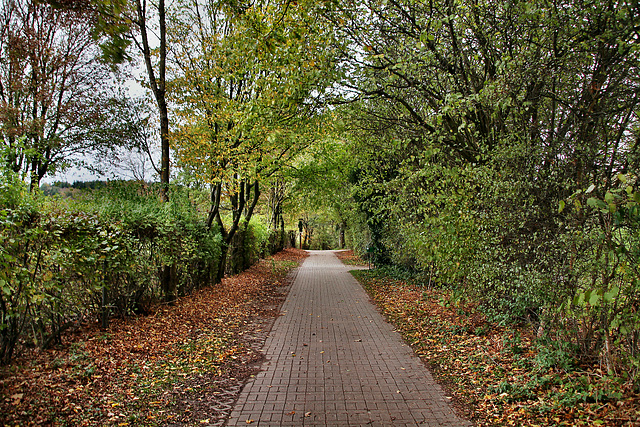 Weg zwischen den Golfplätzen (Sprockhövel) / 6.11.2022