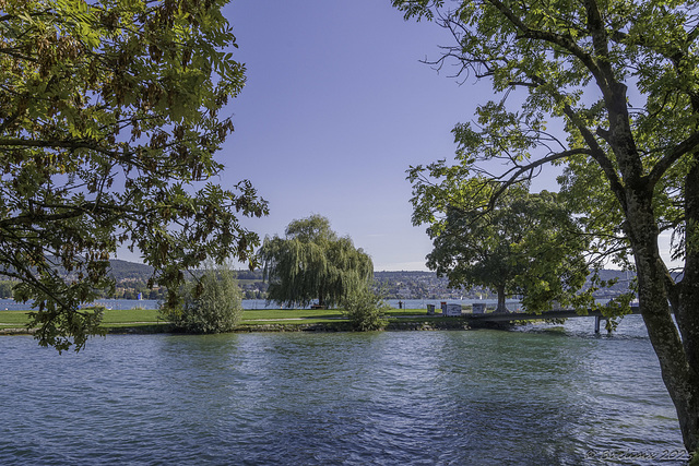 Blick zum Saffa-Inseli (© Buelipix)